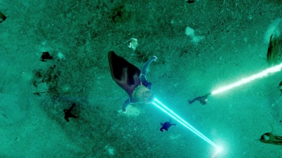 MBBR00000748.jpg