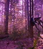 MBBR00000186.jpg