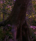 Imagem=MBBR00000282.jpg
Tamanho=723KB
Dimensão=1920x1080
Data Envio=15 Jan, 2020 MBBR00000282.jpg