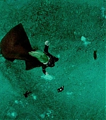Imagem=MBBR00000744.jpg
Tamanho=1338KB
Dimensão=1920x1080
Data Envio=15 Jan, 2020 MBBR00000744.jpg
