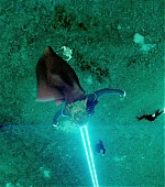 Imagem=MBBR00000747.jpg
Tamanho=1341KB
Dimensão=1920x1080
Data Envio=15 Jan, 2020 MBBR00000747.jpg