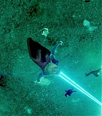 Imagem=MBBR00000748.jpg
Tamanho=1428KB
Dimensão=1920x1080
Data Envio=15 Jan, 2020 MBBR00000748.jpg