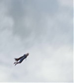 Imagem=MBBR00000646.jpg
Tamanho=167KB
Dimensão=1920x1080
Data Envio=15 Jan, 2020 MBBR00000646.jpg