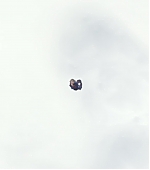 Imagem=MBBR00000678.jpg
Tamanho=95KB
Dimensão=1920x1080
Data Envio=15 Jan, 2020 MBBR00000678.jpg