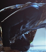 MBBR000000318~4.jpg