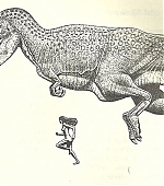 MBBR0136.JPG