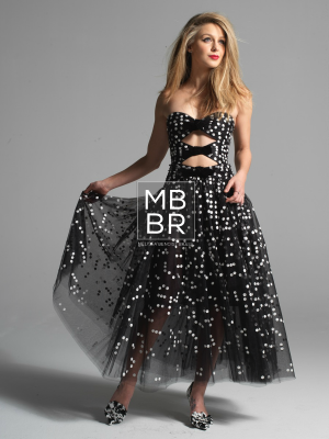MBBR0028.png