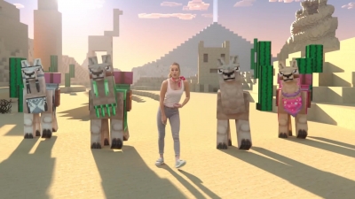 MBBRMINECRAFT-0484.jpg
