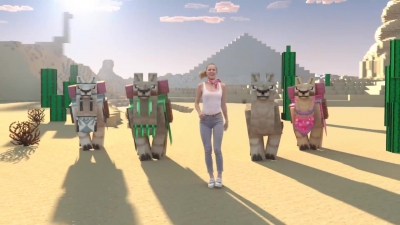 MBBRMINECRAFT-0581.jpg
