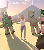 MBBRMINECRAFT-0556.jpg