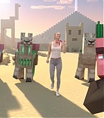 MBBRMINECRAFT-0563.jpg
