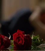 MBBRSG213-0750.jpg
