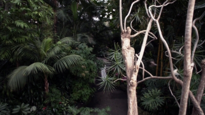 MBBR01174.jpg