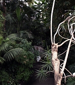 MBBR01171.jpg