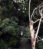 MBBR01172.jpg