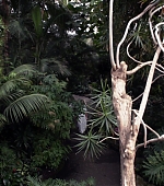 MBBR01173.jpg