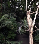 MBBR01174.jpg