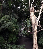 MBBR01175.jpg