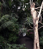 MBBR01176.jpg