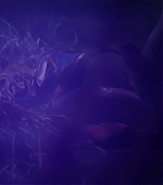 Imagem=MBBR0000740.jpg
Tamanho=224KB
Dimensão=1920x1080
Data Envio=15 Mai, 2019 MBBR0000740.jpg