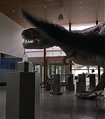 MBBR00000543.jpg