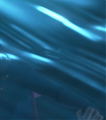 Imagem=MBBR00001639.jpg
Tamanho=389KB
Dimensão=1920x1080
Data Envio=07 Out, 2019 MBBR00001639.jpg