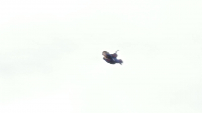 MBBR00000679.jpg