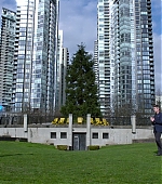 MBBR000000386~2.jpg