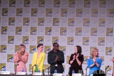 MBBRSDCC_PANEL_001.jpg